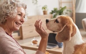 Treinar cães rejuvenesce