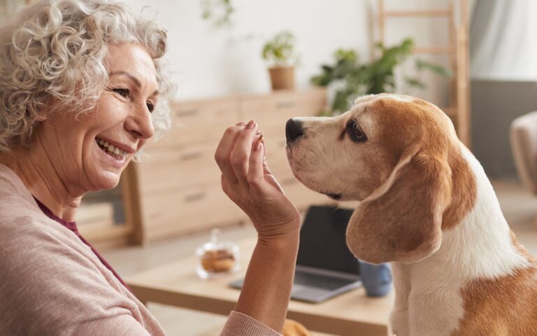 Treinar cães rejuvenesce