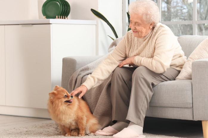 treinar cães rejuvenesce
