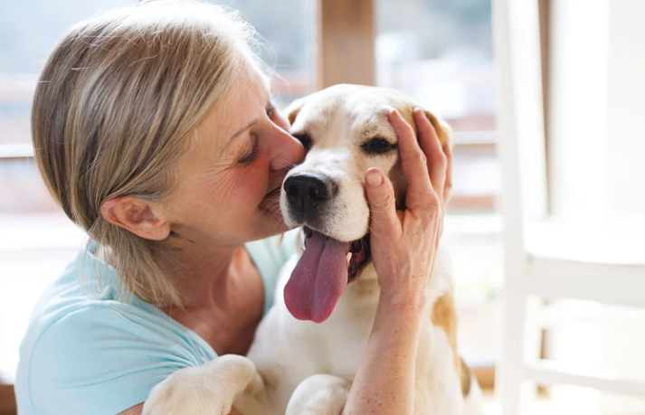 treinar cães rejuvenesce