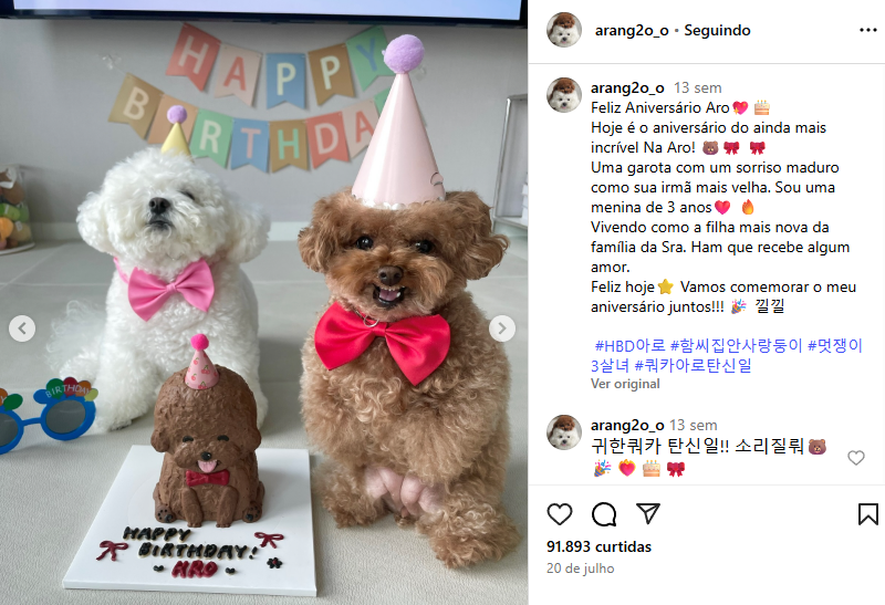 Bichon Frisé faz caras e bocas e viraliza na internet