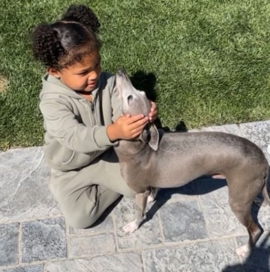 Kylie Jenner diz adeus a Norman