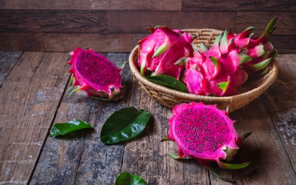 cachorro pode comer pitaya