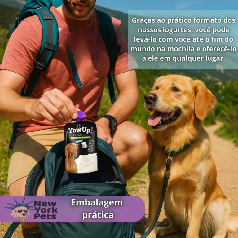 Cachorro pode comer iogurte natural integral? Saiba quando oferecer e quais cuidados ter 3 cachorro pode comer iogurte natural integral