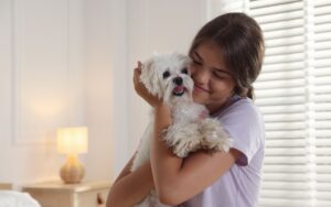 Seu cachorro muda o ar da casa e a ciência explica como 3 cachorro muda o ar da casa