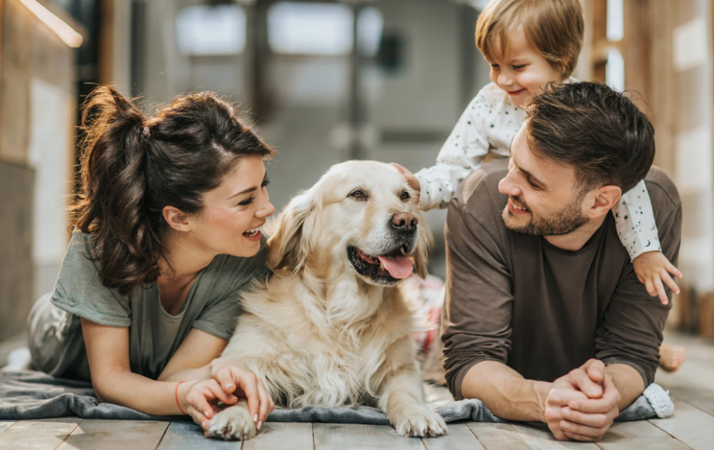 Seu cachorro muda o ar da casa e a ciência explica como 1 cachorro muda o ar da casa