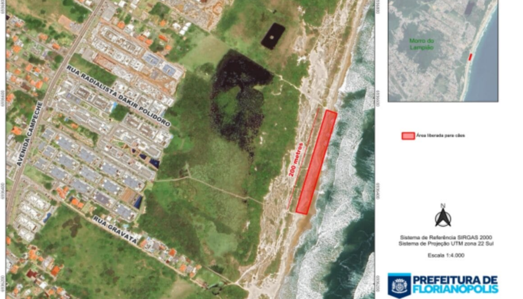 Florianópolis define horários e regras para cachorros nas praias: saiba o que mudou 1 Florianópolis define horários e regras para cachorros nas praias