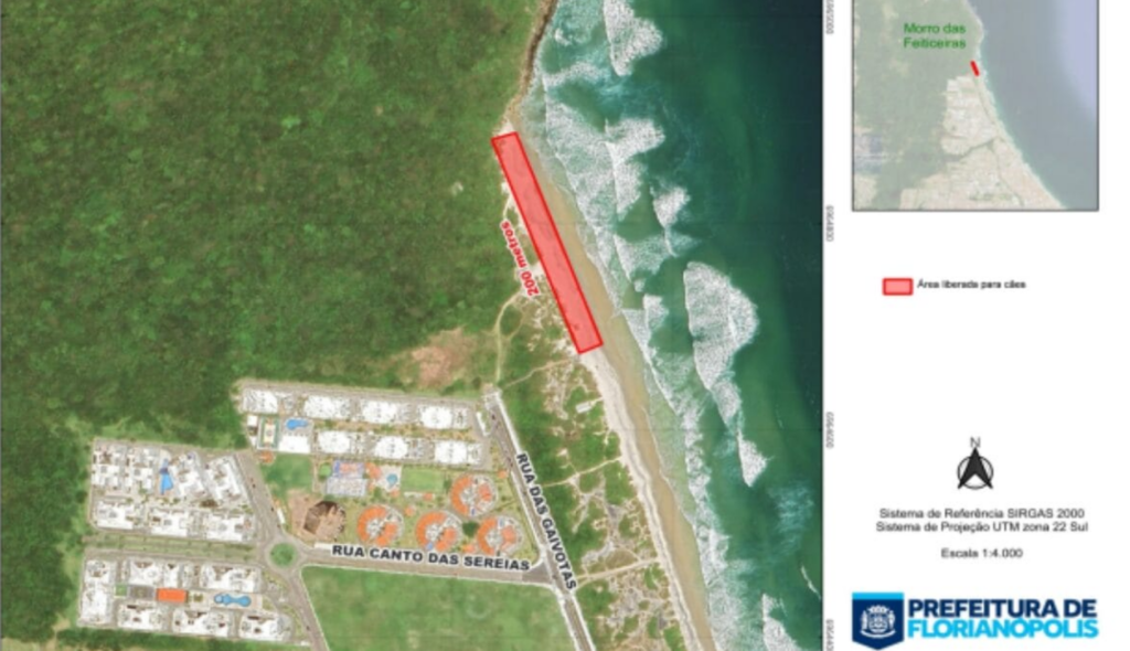 Florianópolis define horários e regras para cachorros nas praias: saiba o que mudou 2 Florianópolis define horários e regras para cachorros nas praias